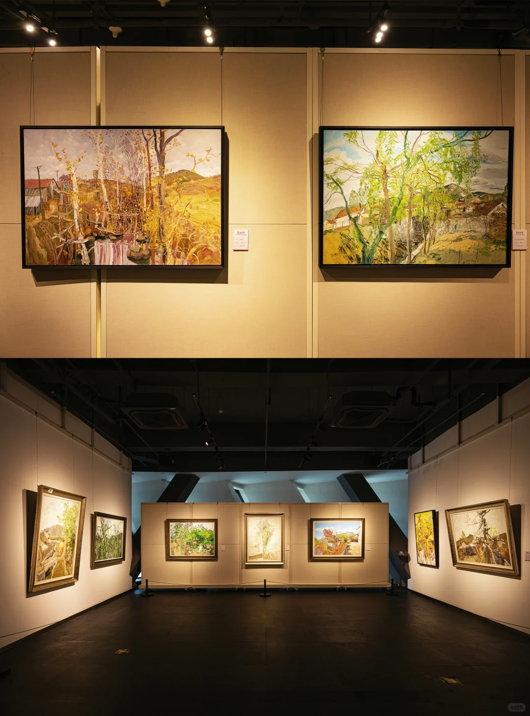 长春新展❗暂别喧嚣?觉悟自然