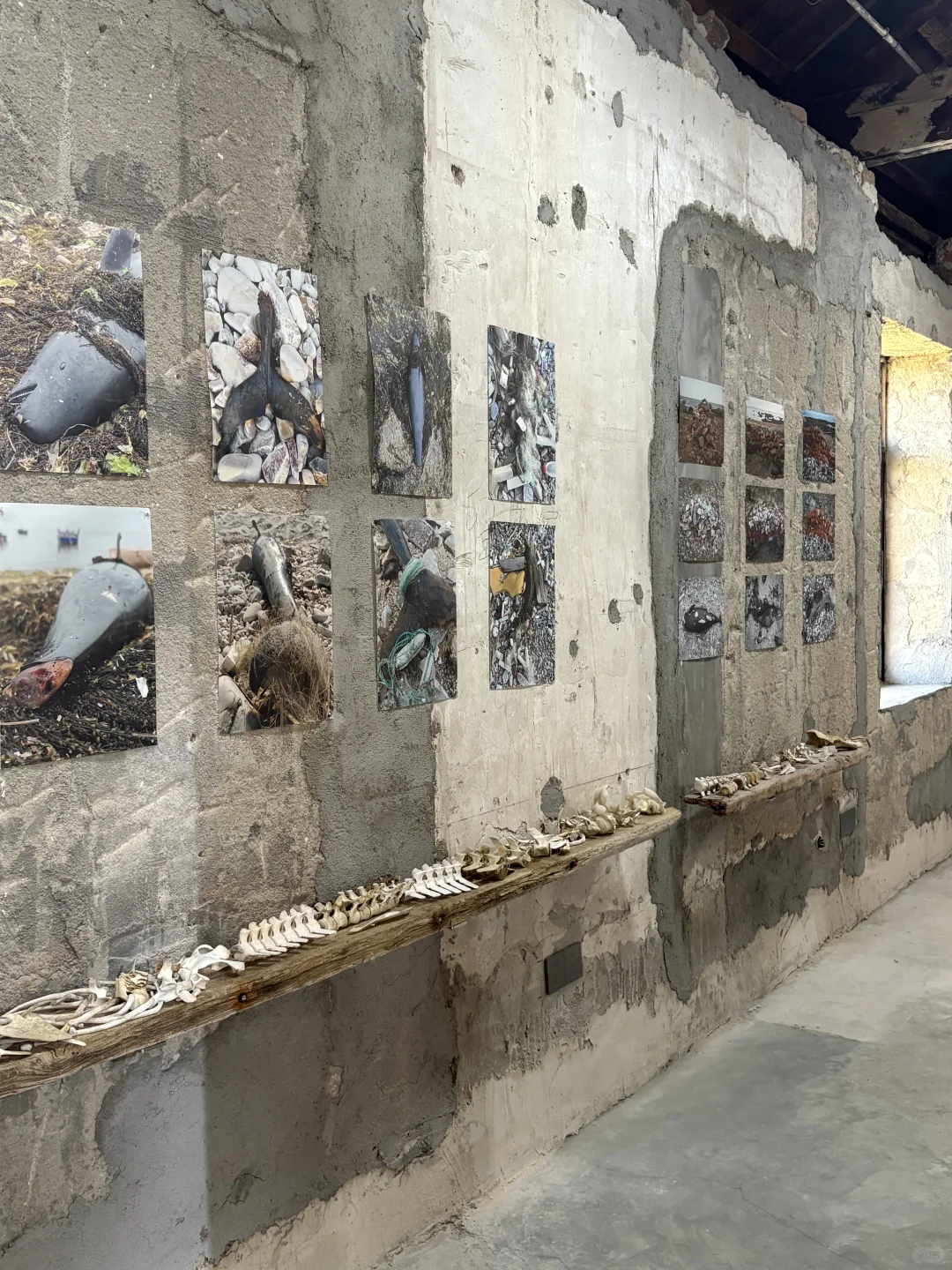 烟台新展！一场与海洋的对话！！