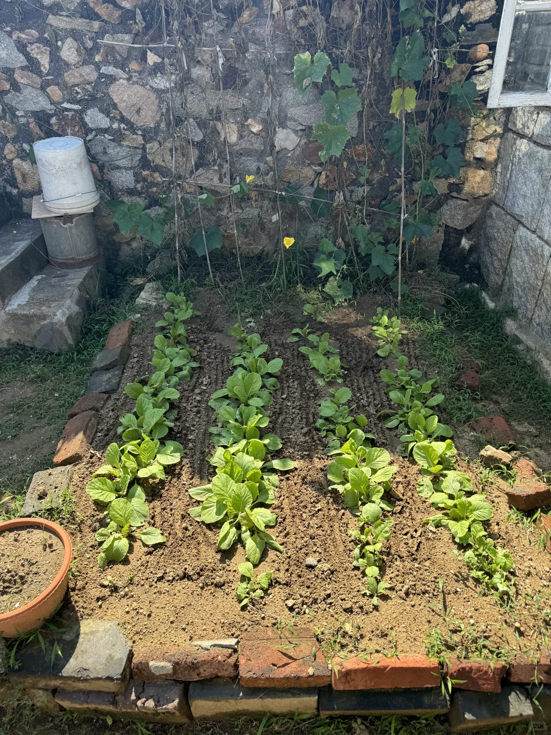 回老家看爷爷奶奶，延伸出对外贸的思考?