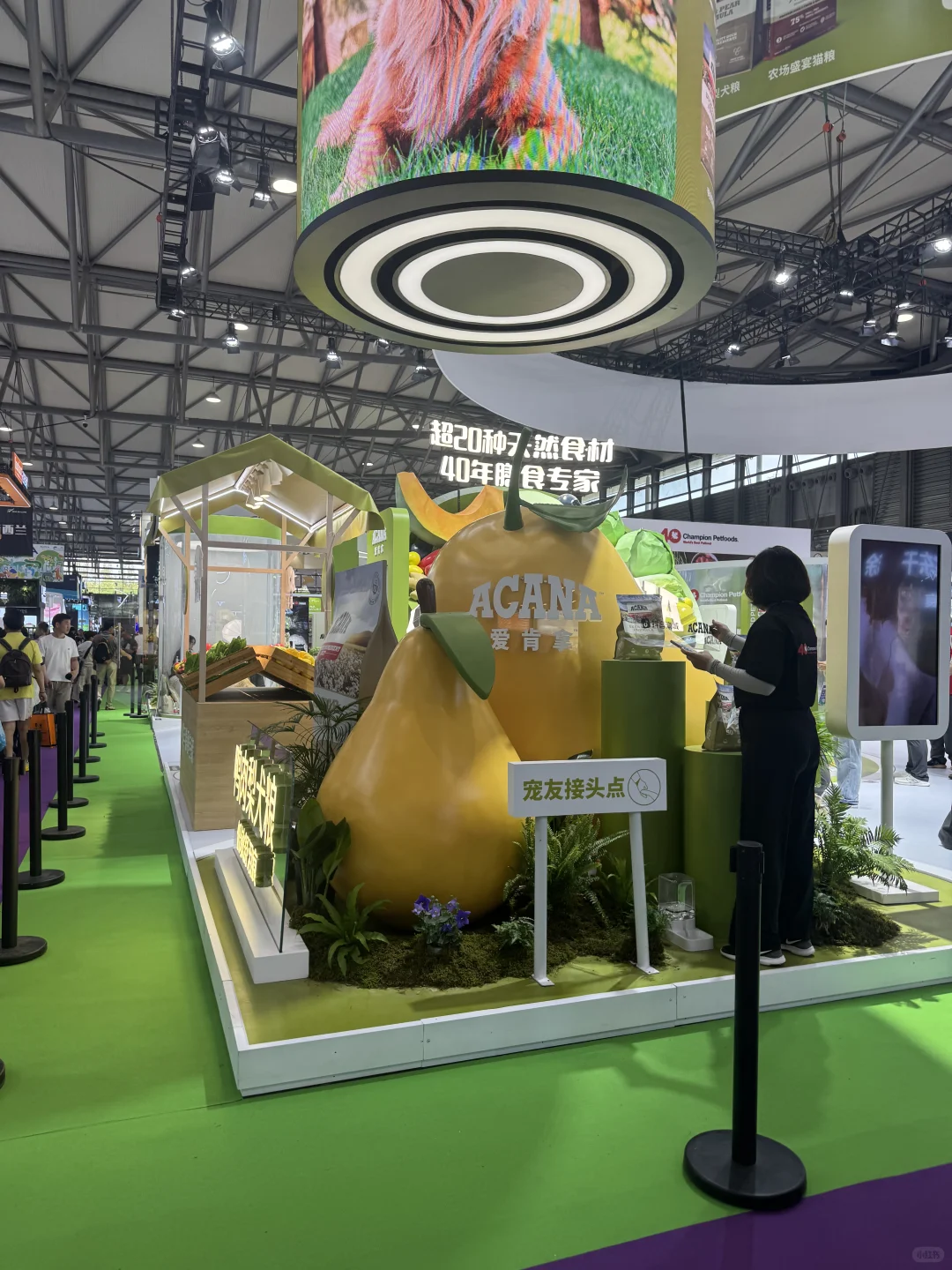 上海亚宠展薅羊毛
