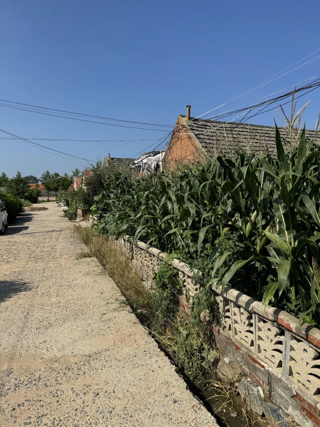 回老家看爷爷奶奶，延伸出对外贸的思考?