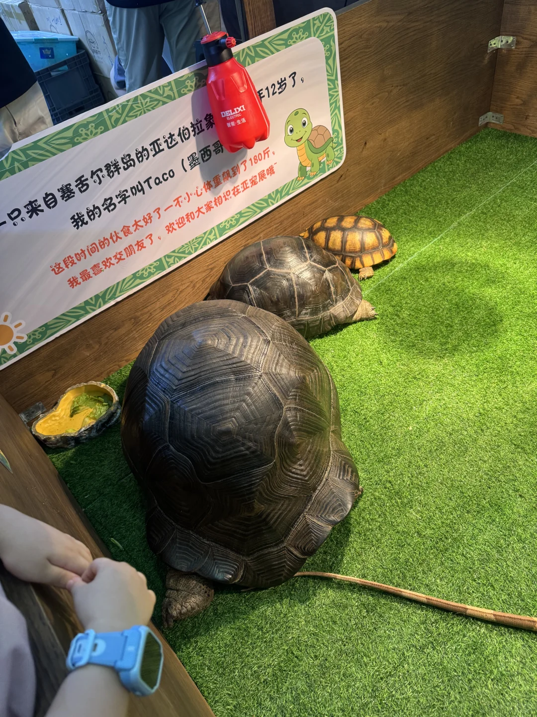 上海亚宠展薅羊毛