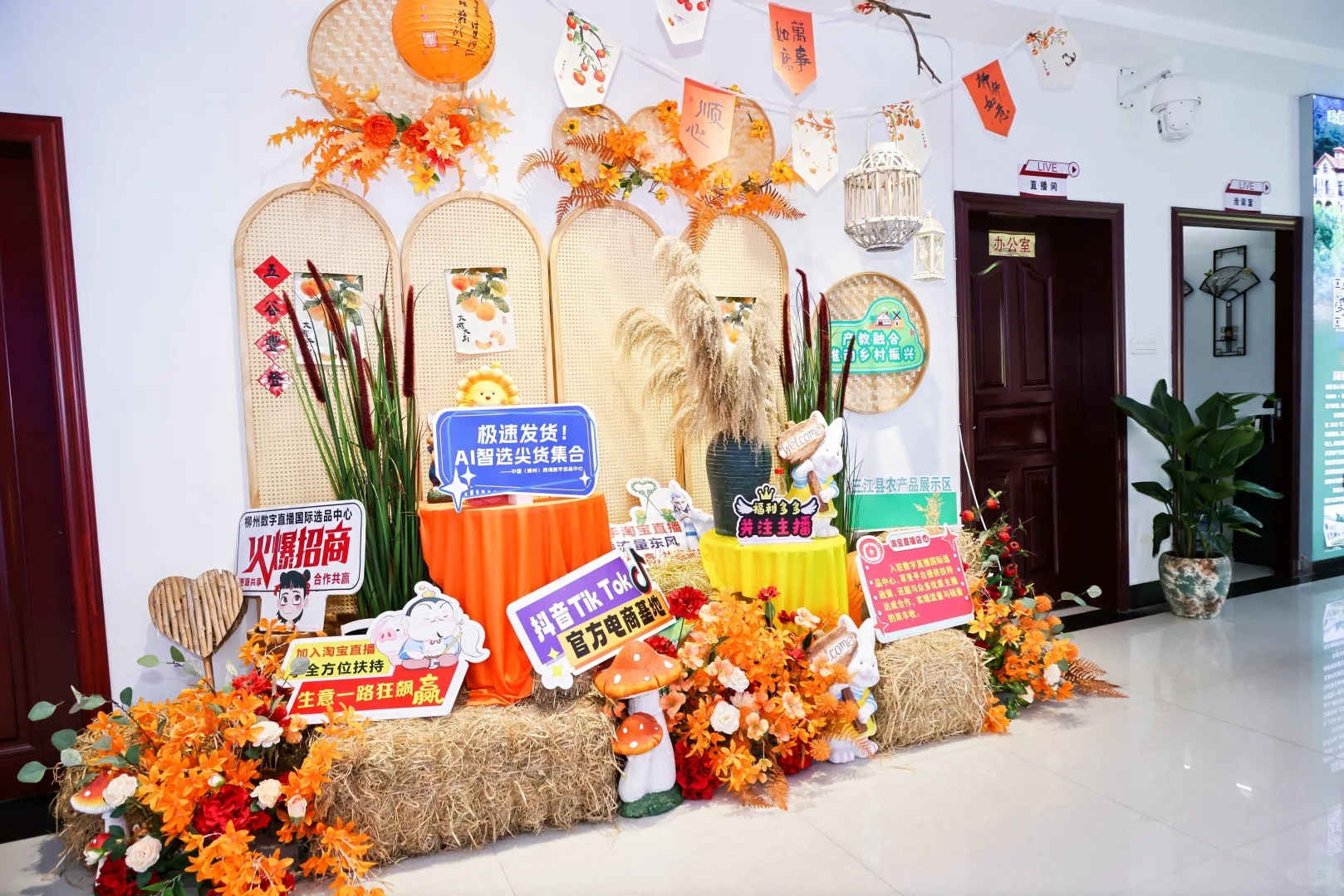 看过来 今天中心真热闹