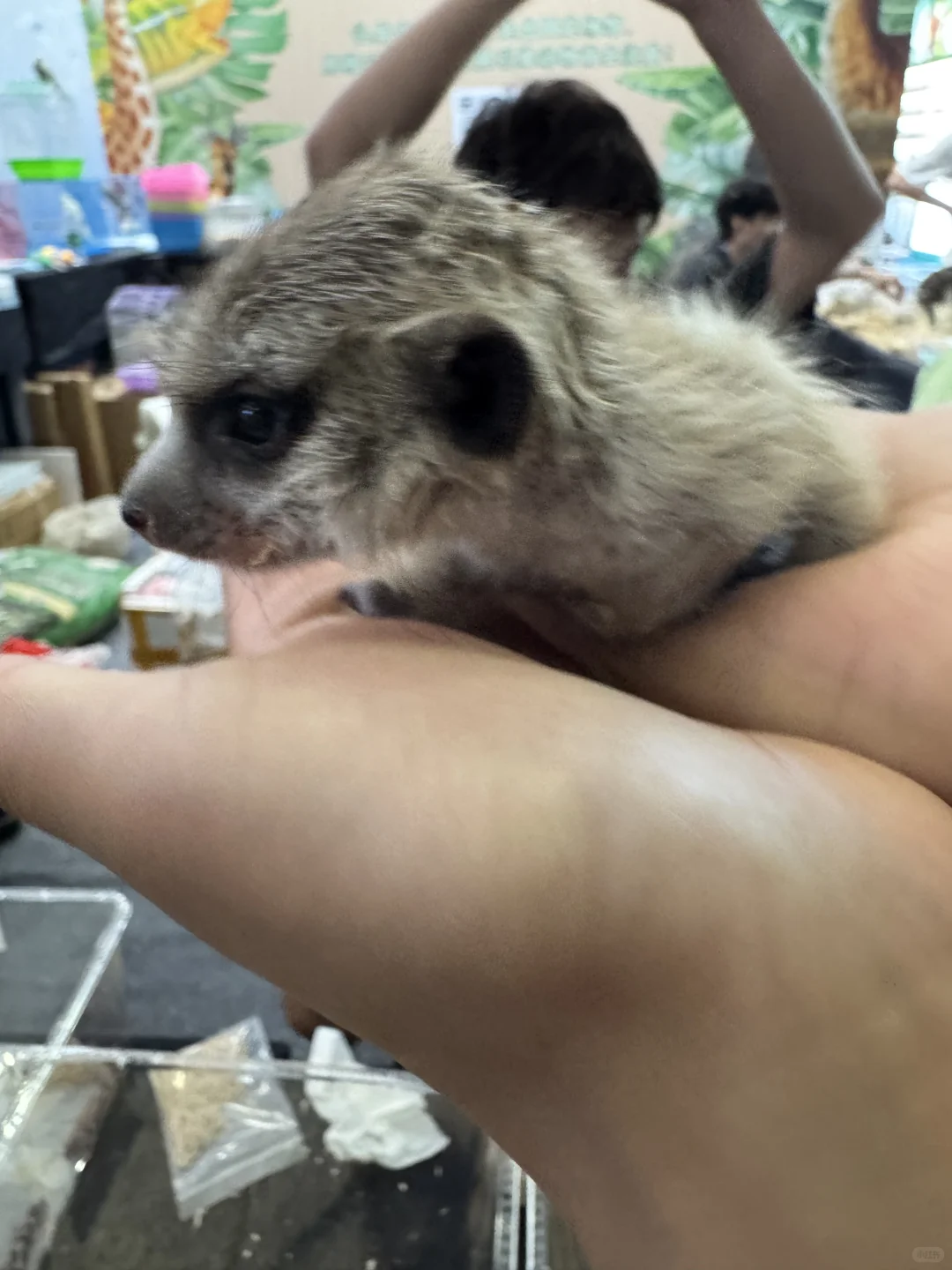 上海亚宠展薅羊毛