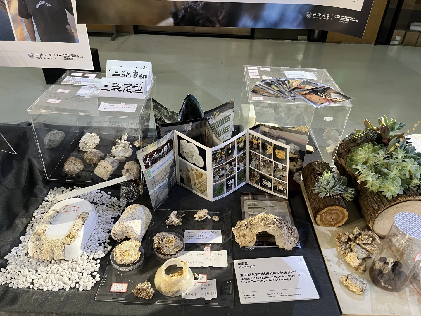 同济大学设计创意学院毕设展