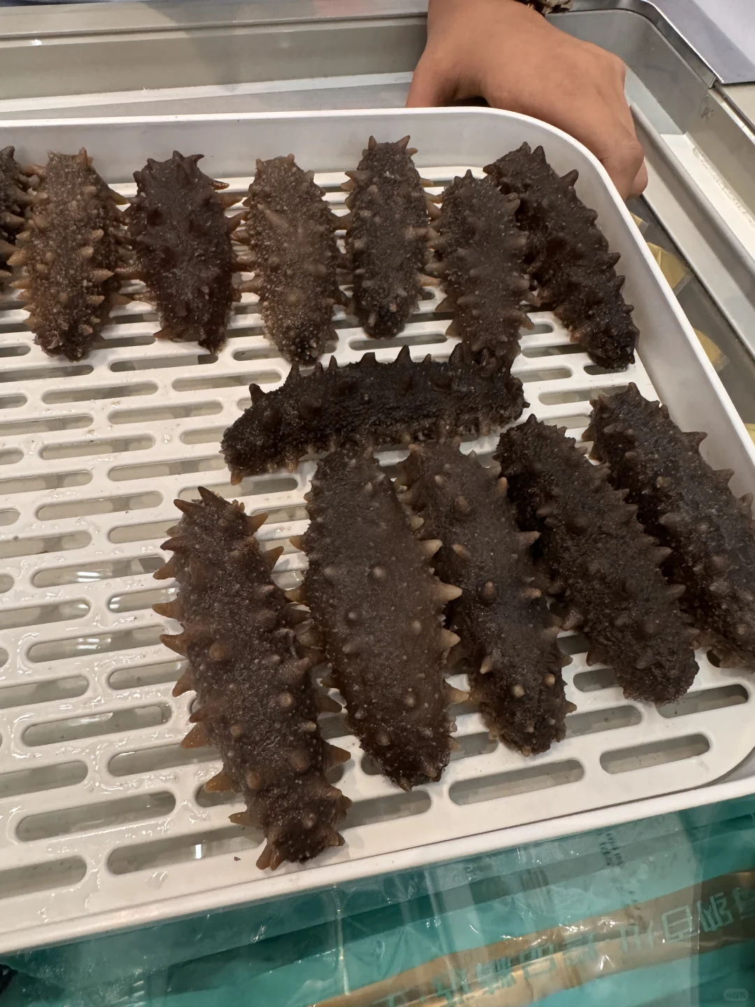 ?【八月必逛！京津冀老乡的宝藏展销会攻略】