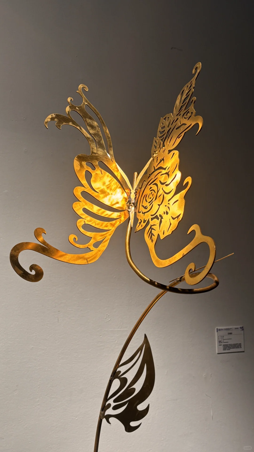 这么好看的毕业展我看了！