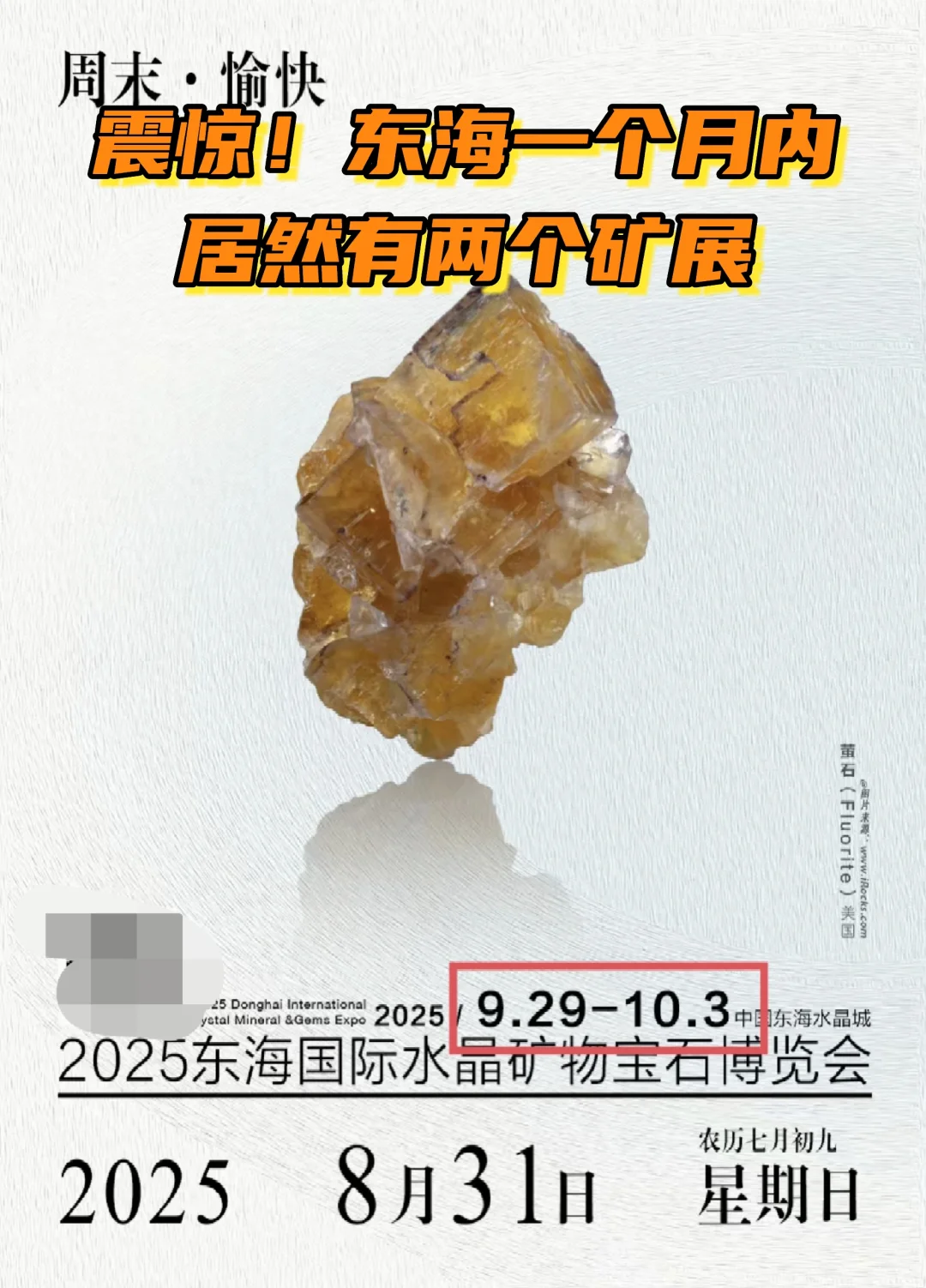 震惊！东海一个月内有两个矿展！