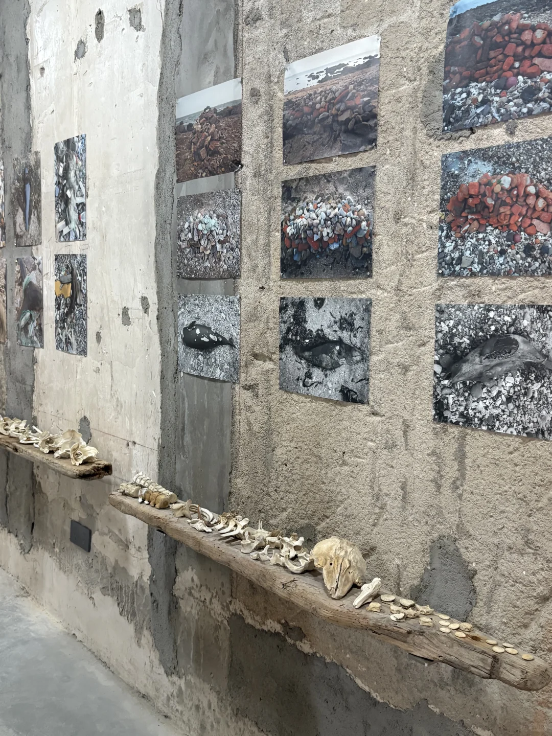 烟台新展！一场与海洋的对话！！