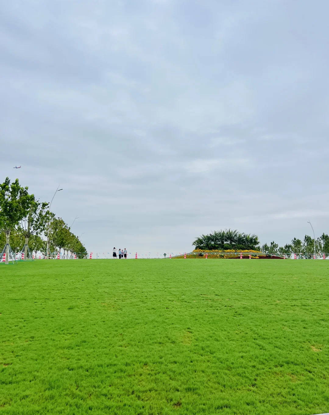 国展生态公园满眼?码头 海鸥 荷花?娃超爱