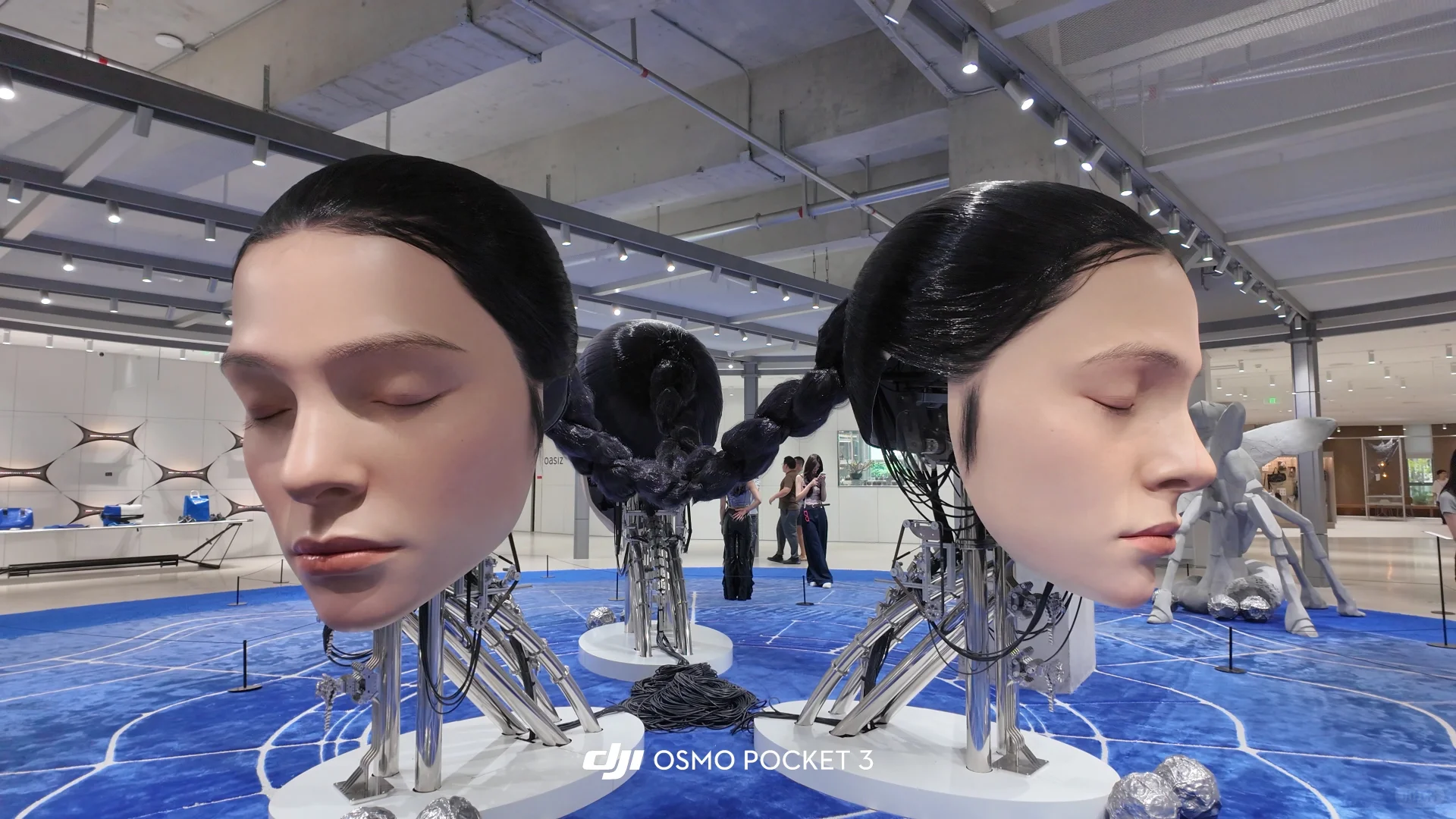 当超现实主义映入现实