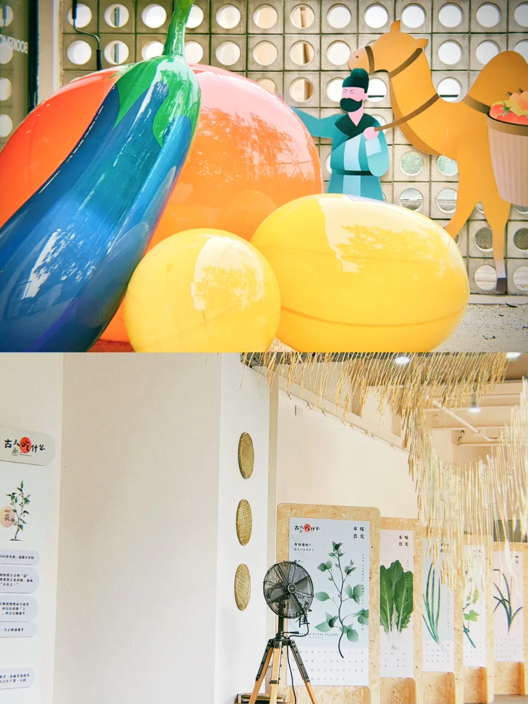 『古人吃什么』又做了一个展