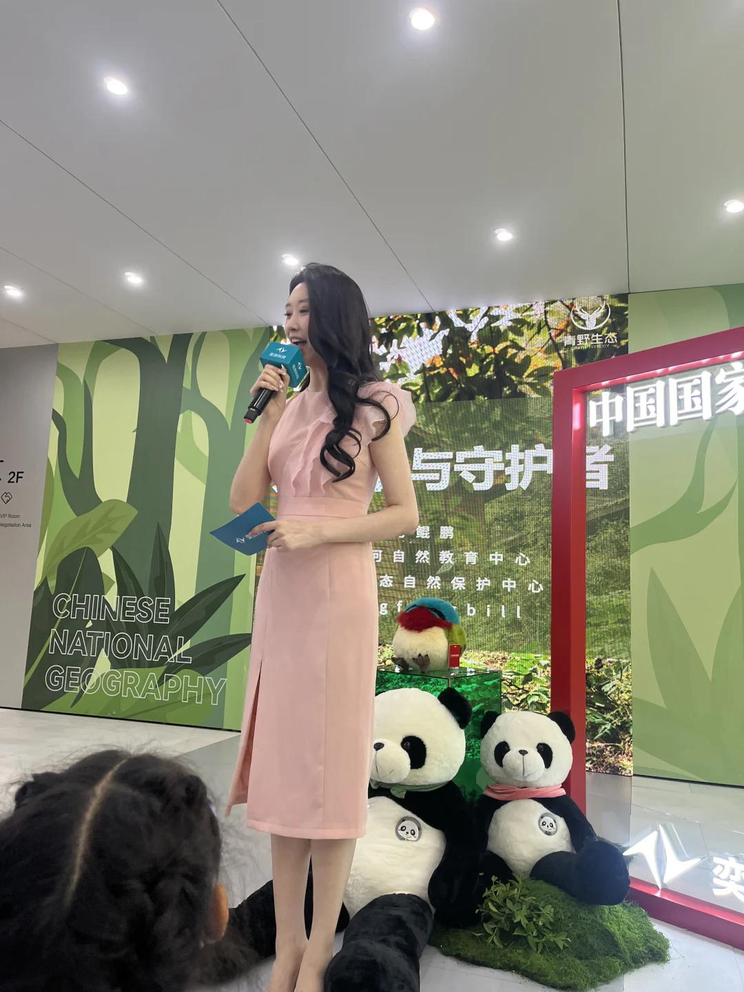 这场车展，真的值！?