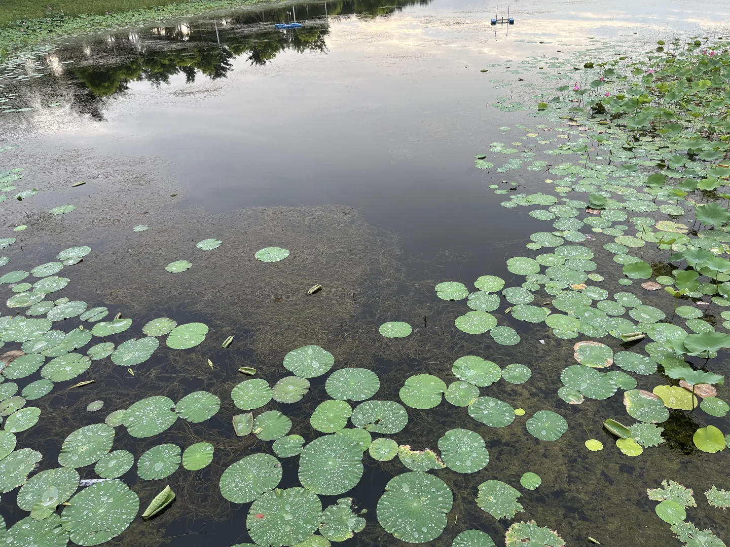 天津津南遛娃好去处，还有谁不知道？