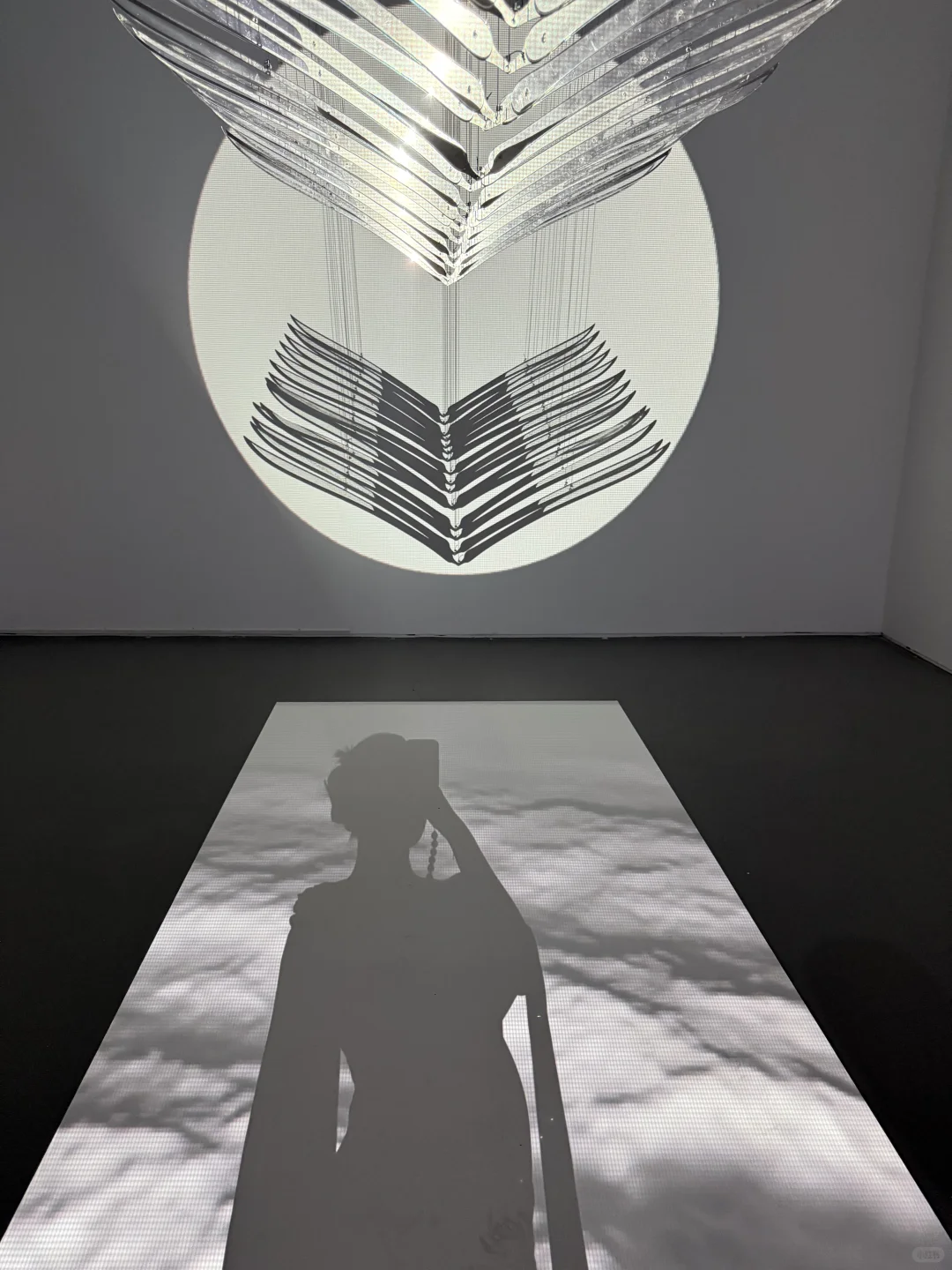 36w孕晚期带崽看展穿搭?重美术馆太好拍了