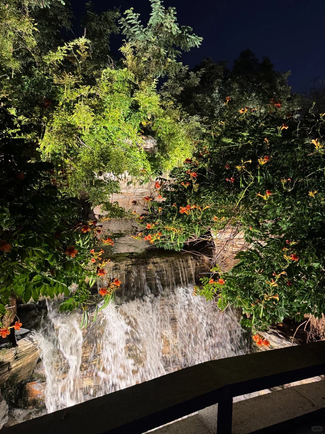 梅江公园⛲️梅江会展中心附近的宝藏公园！