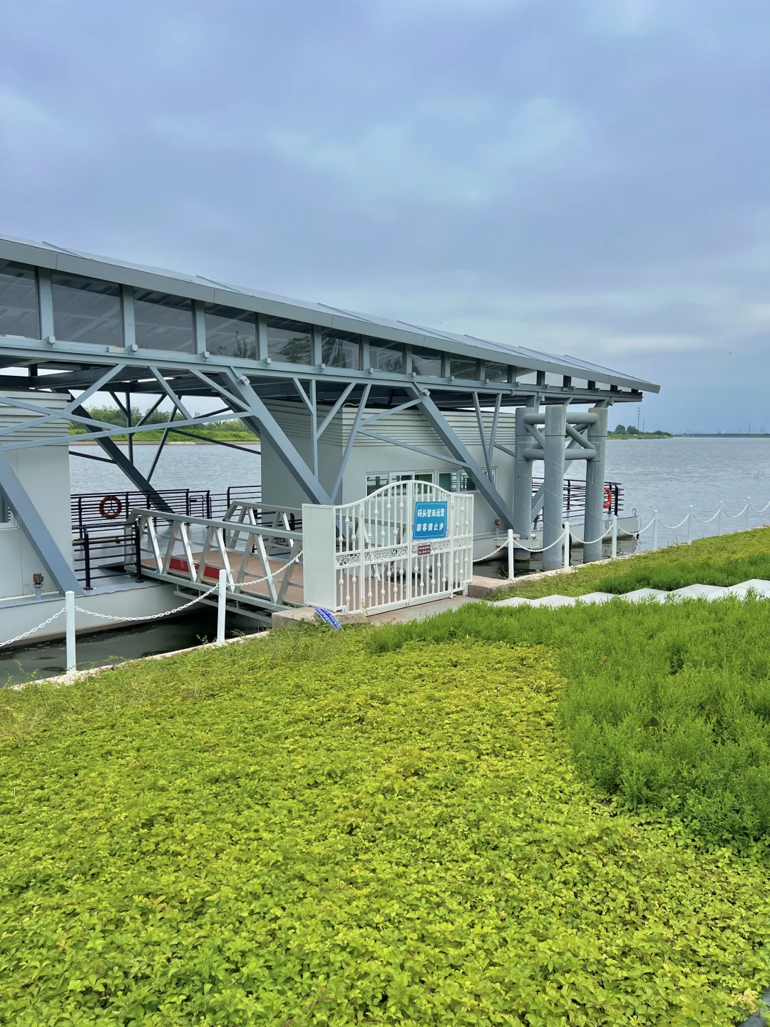 国展生态公园满眼?码头 海鸥 荷花?娃超爱