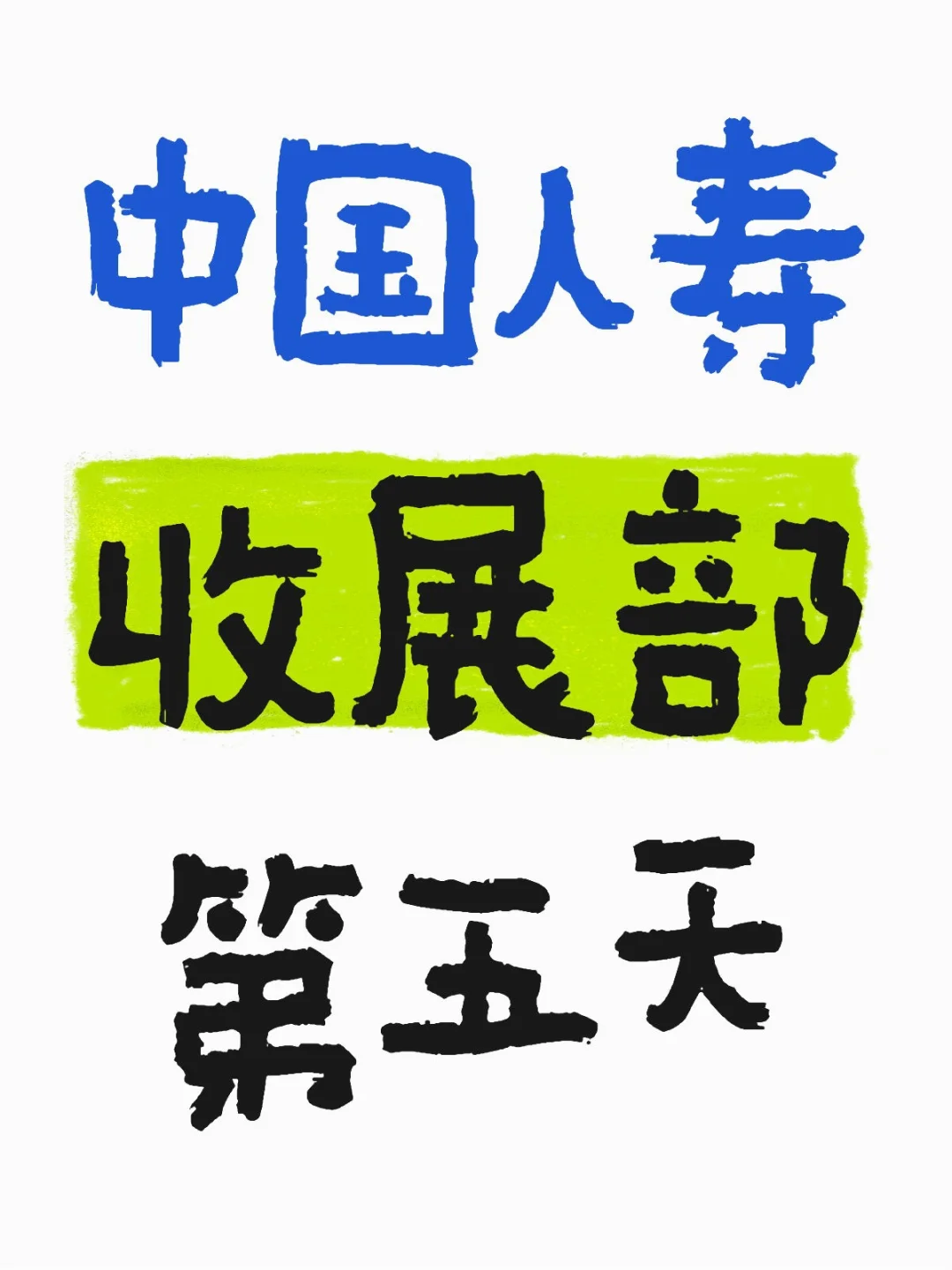 中国人寿第五天