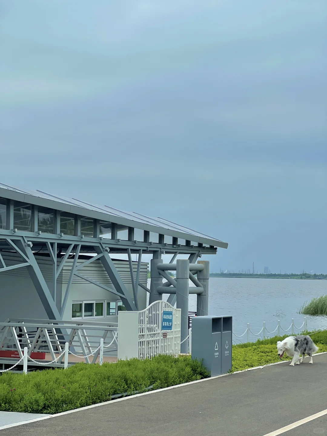 国展生态公园满眼?码头 海鸥 荷花?娃超爱