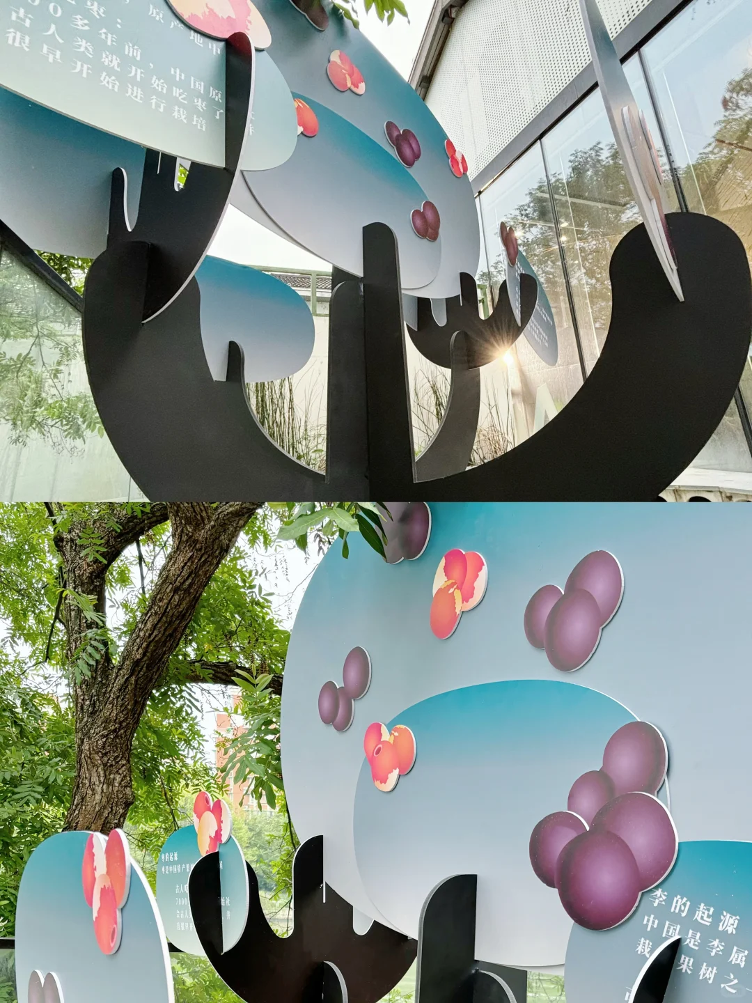 『古人吃什么』又做了一个展