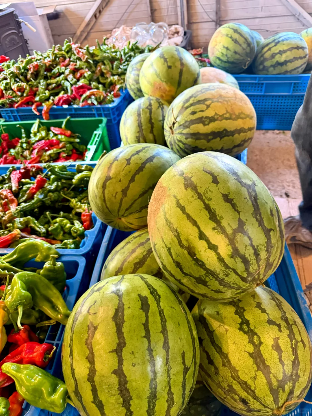 ??多伦多农场采摘