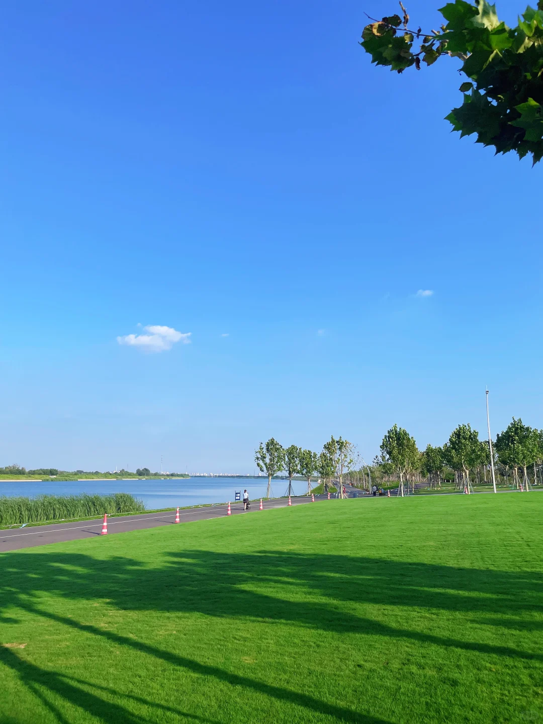 谁还不知道津南海河边美成这样！遛娃宝地！