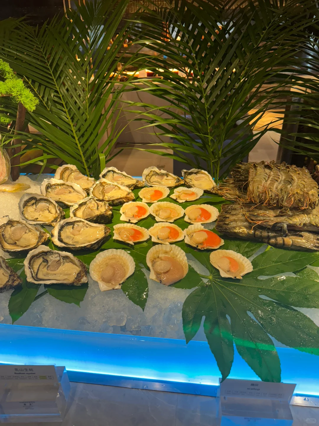 你敢信在邯郸人均200帝王蟹?吃到撑