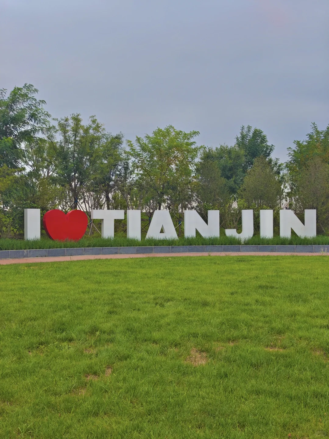 国展生态公园满眼?码头 海鸥 荷花?娃超爱