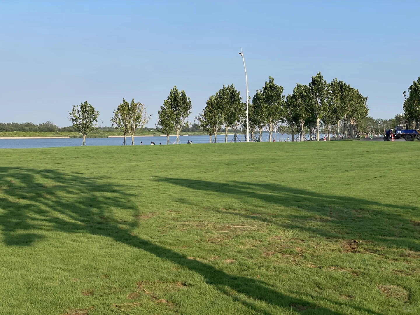 谁还不知道津南海河边美成这样！遛娃宝地！