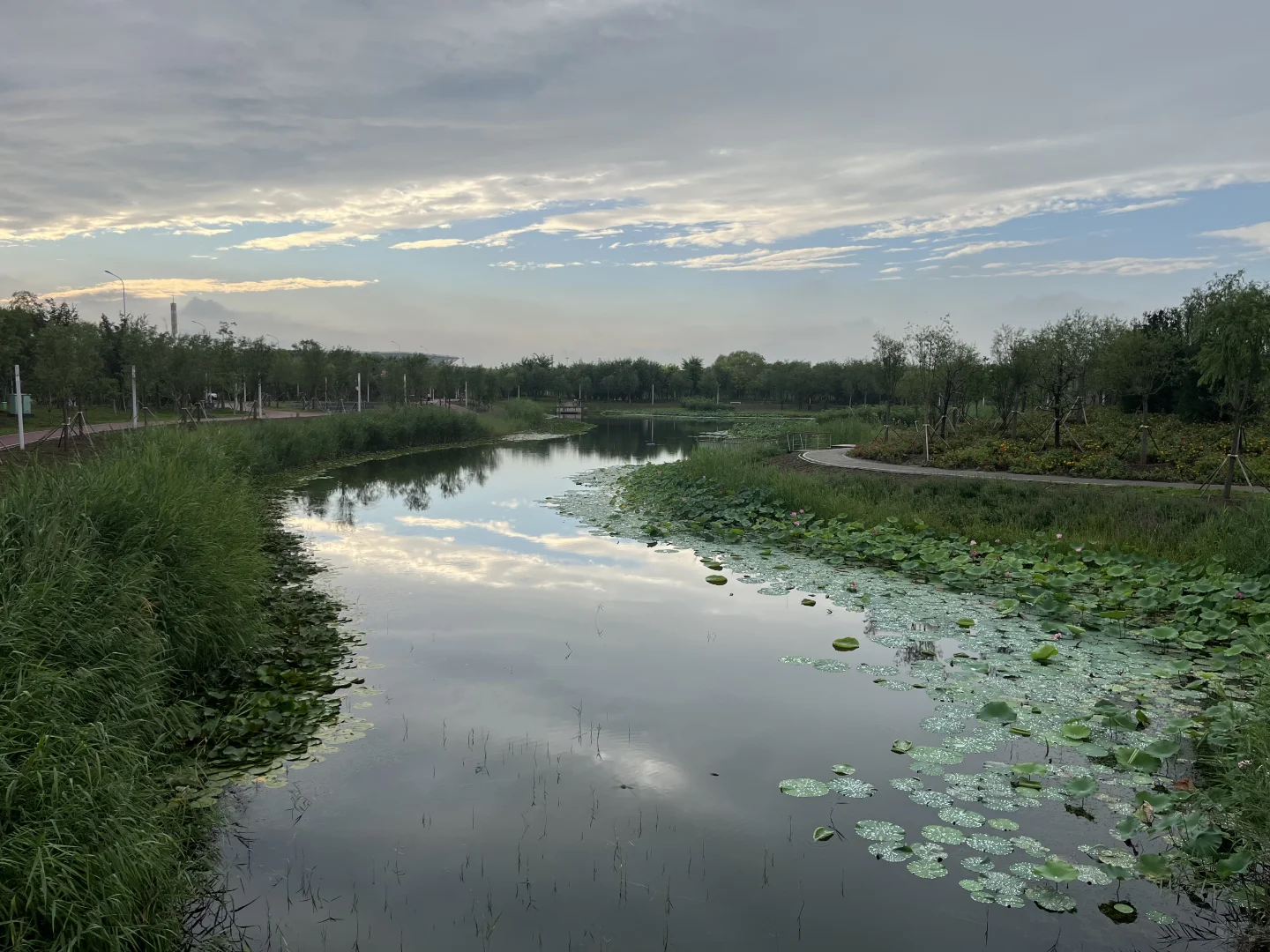 天津津南遛娃好去处，还有谁不知道？