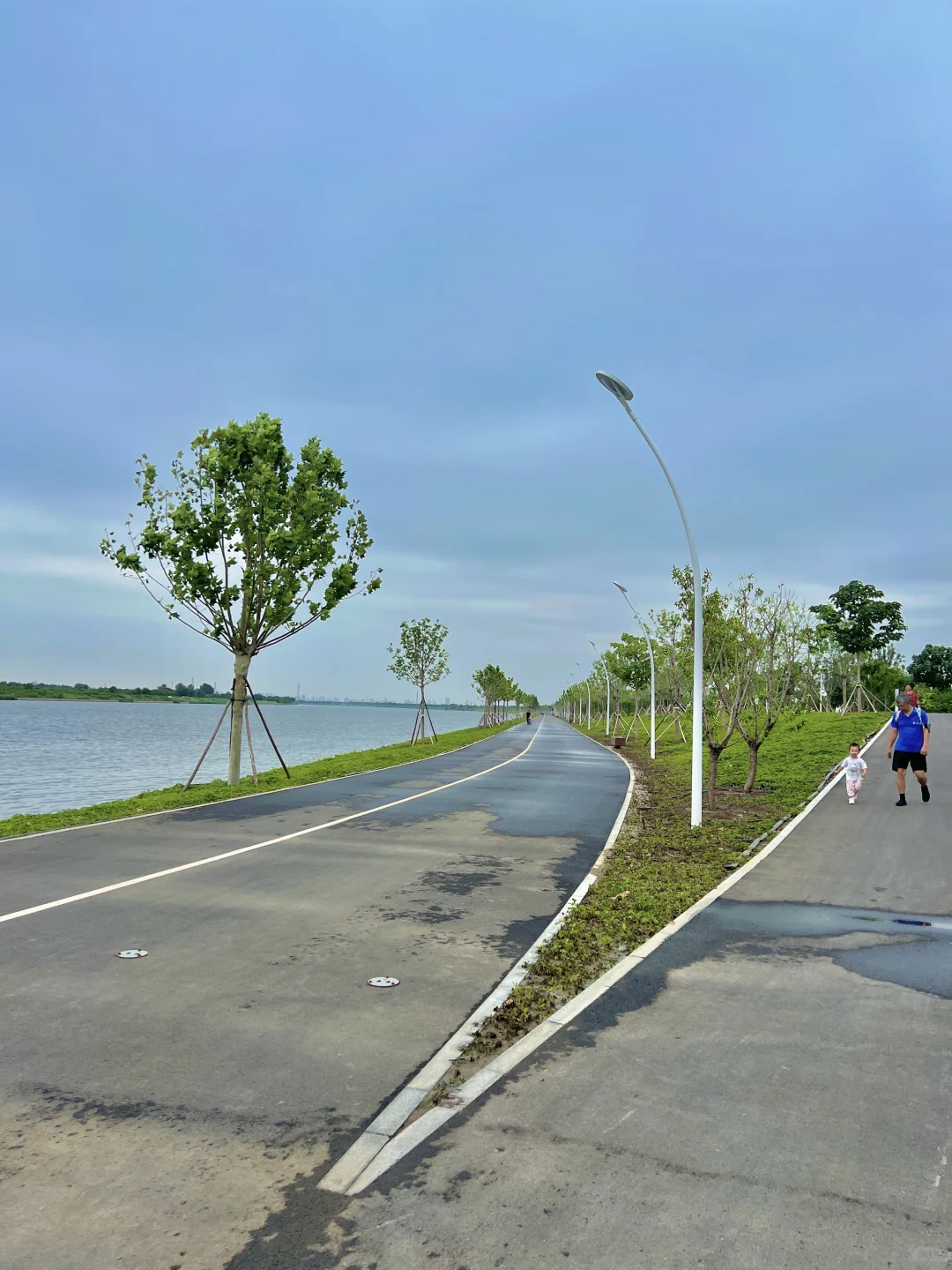 国展生态公园满眼?码头 海鸥 荷花?娃超爱