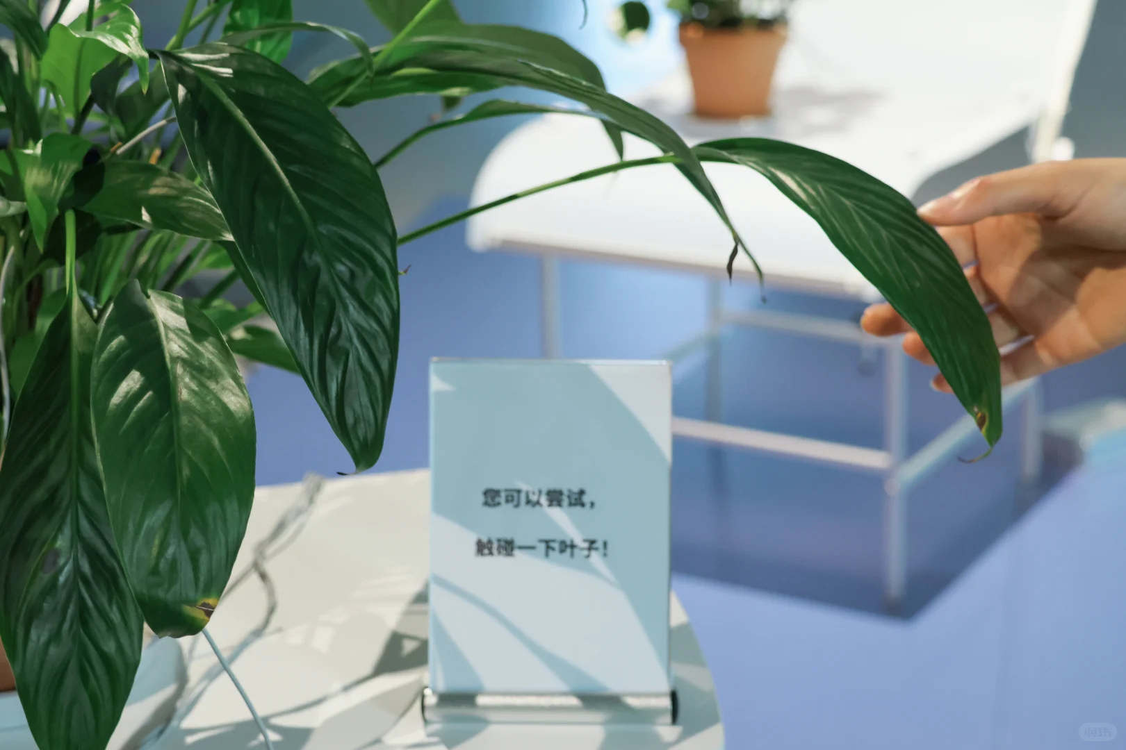 一路向西，走进重美术馆「GIF. 」场景中⚙️