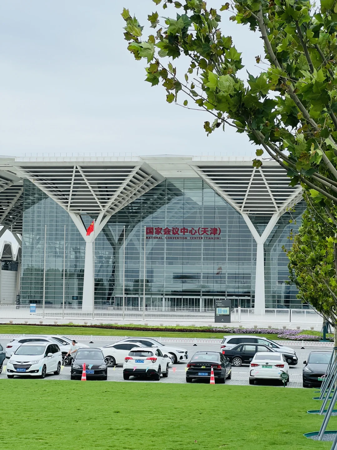 国展生态公园满眼?码头 海鸥 荷花?娃超爱