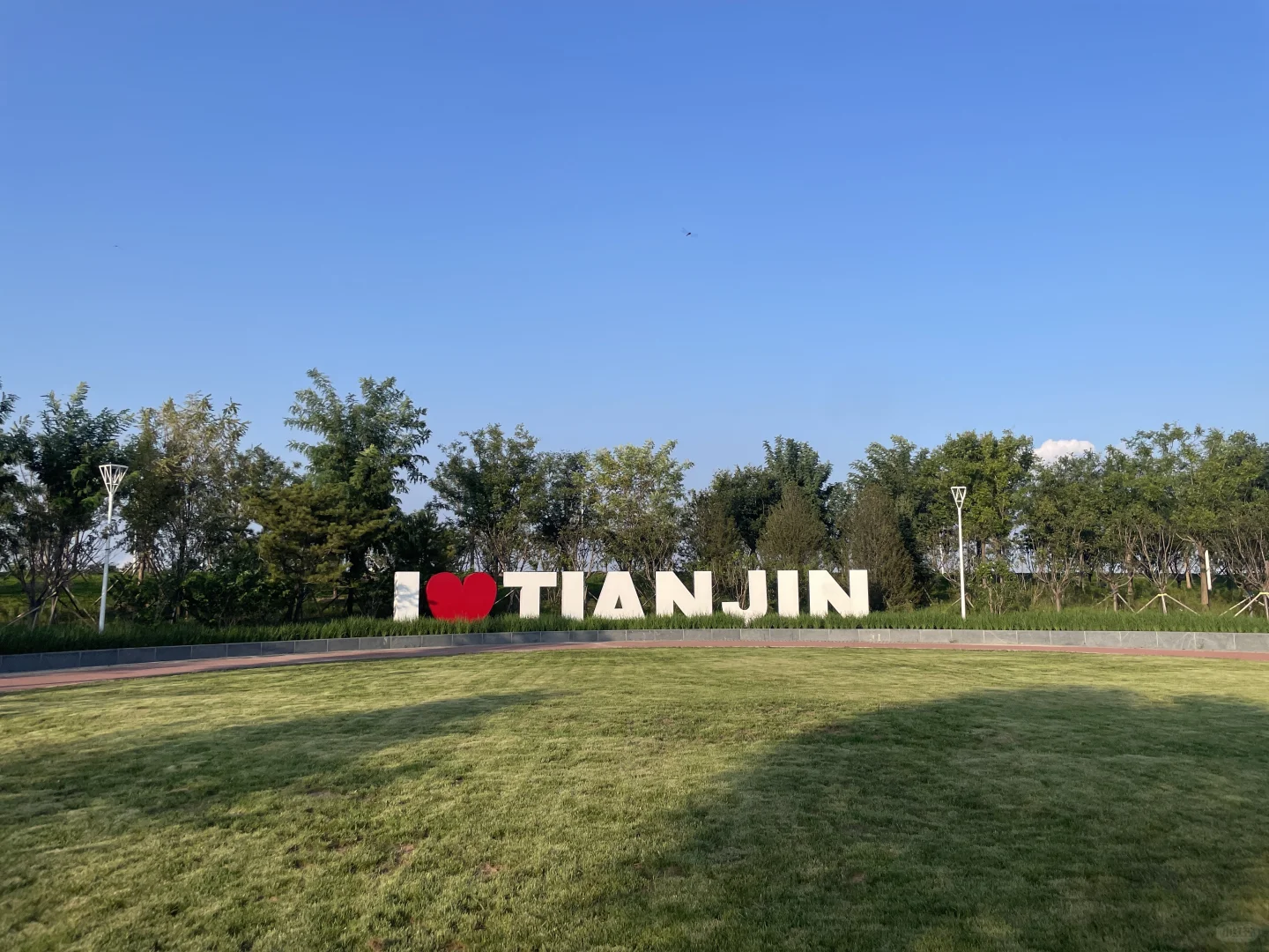 谁还不知道津南海河边美成这样！遛娃宝地！