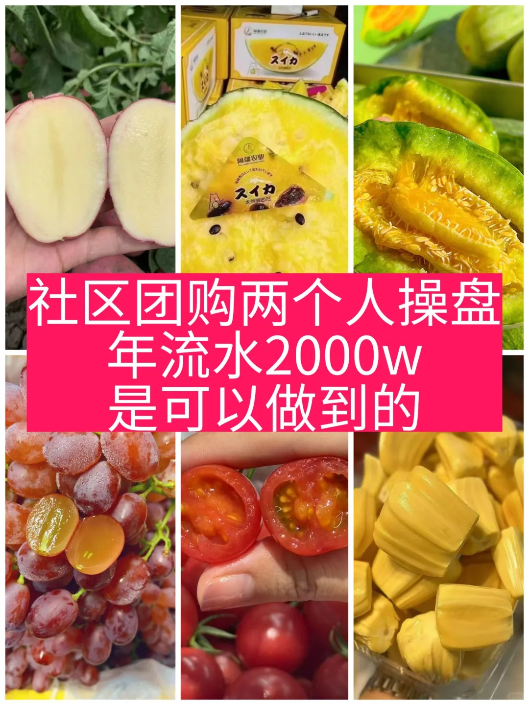 社区团购两个人一年做到了2000w流水