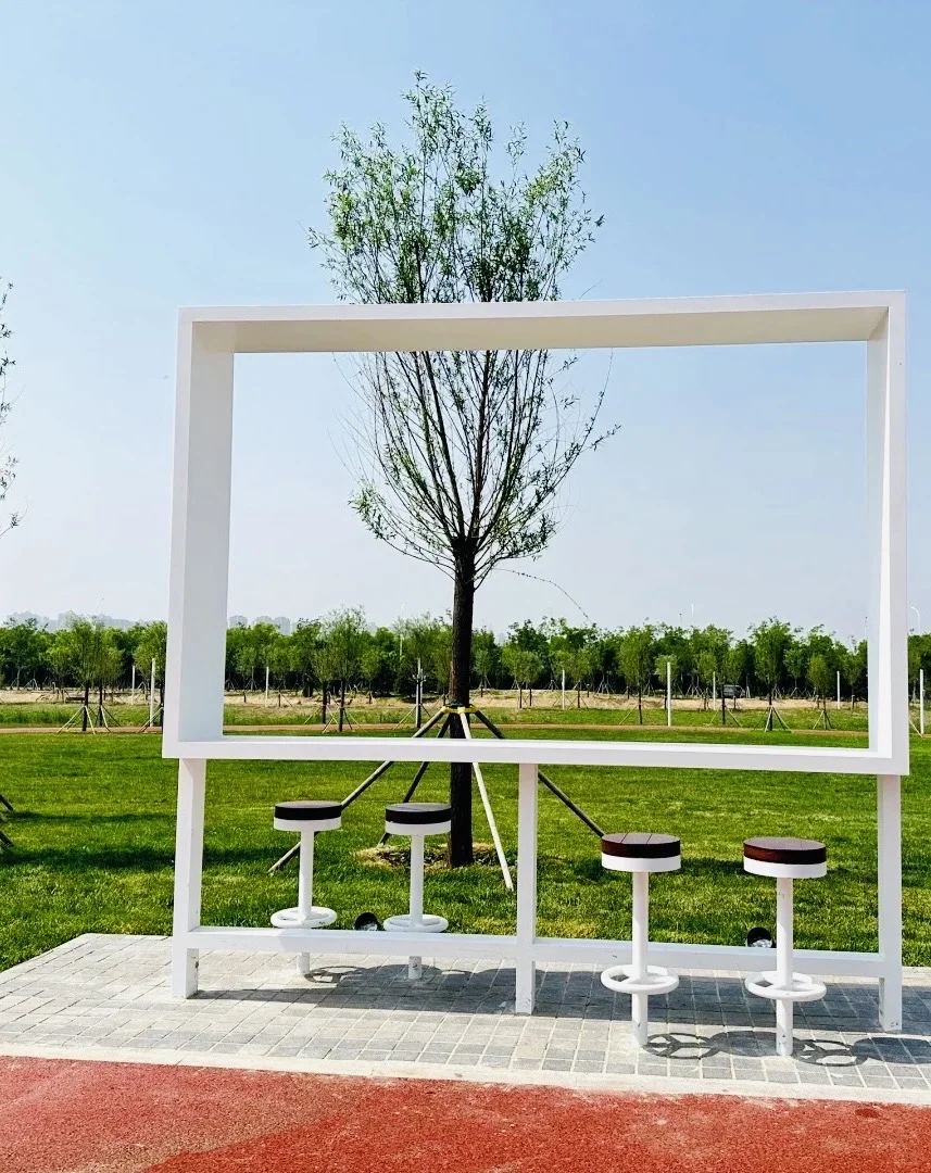 国展生态公园满眼?码头 海鸥 荷花?娃超爱