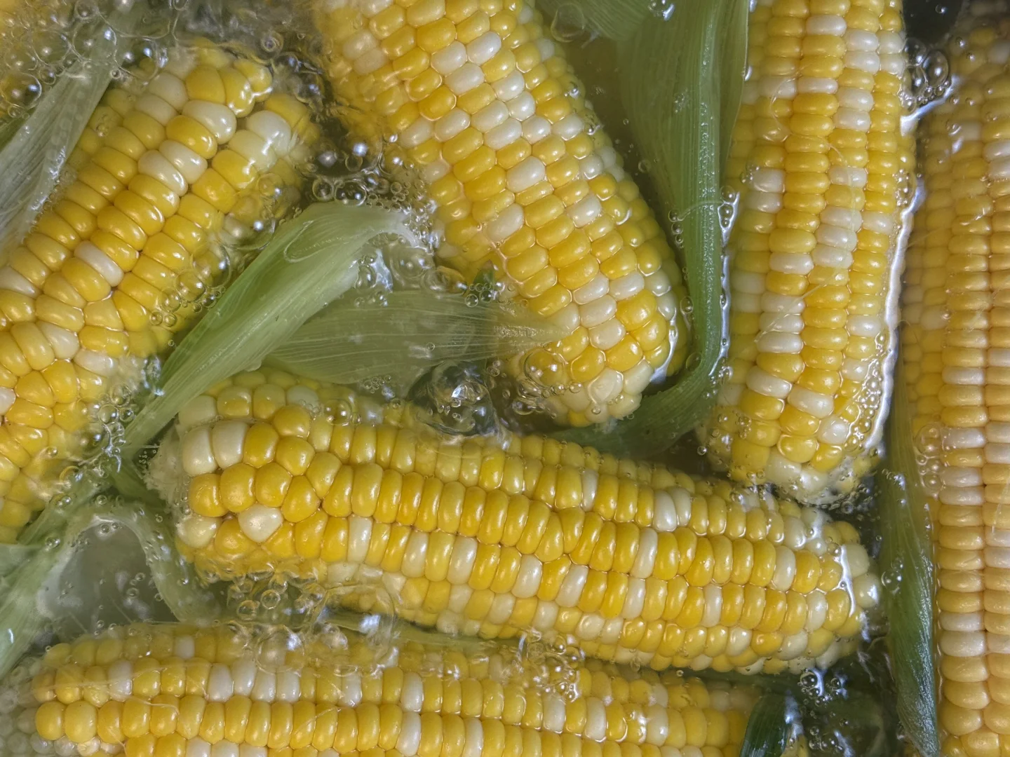 社区团购卖7块一根水果玉米，我7.9发您一箱