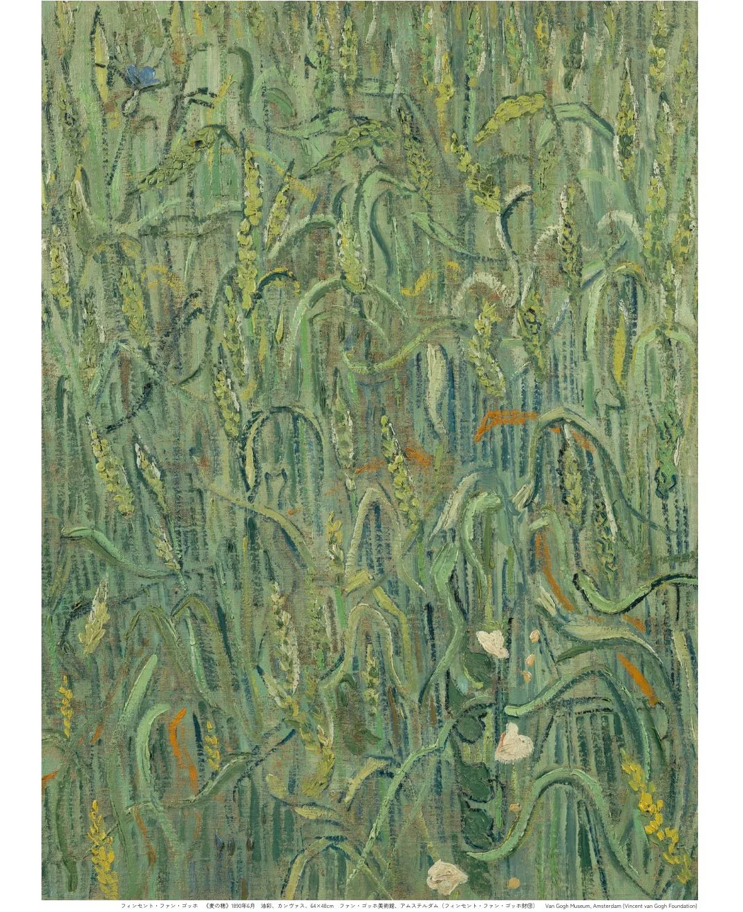 下半年来东京 千万别再错过梵高真迹展了！