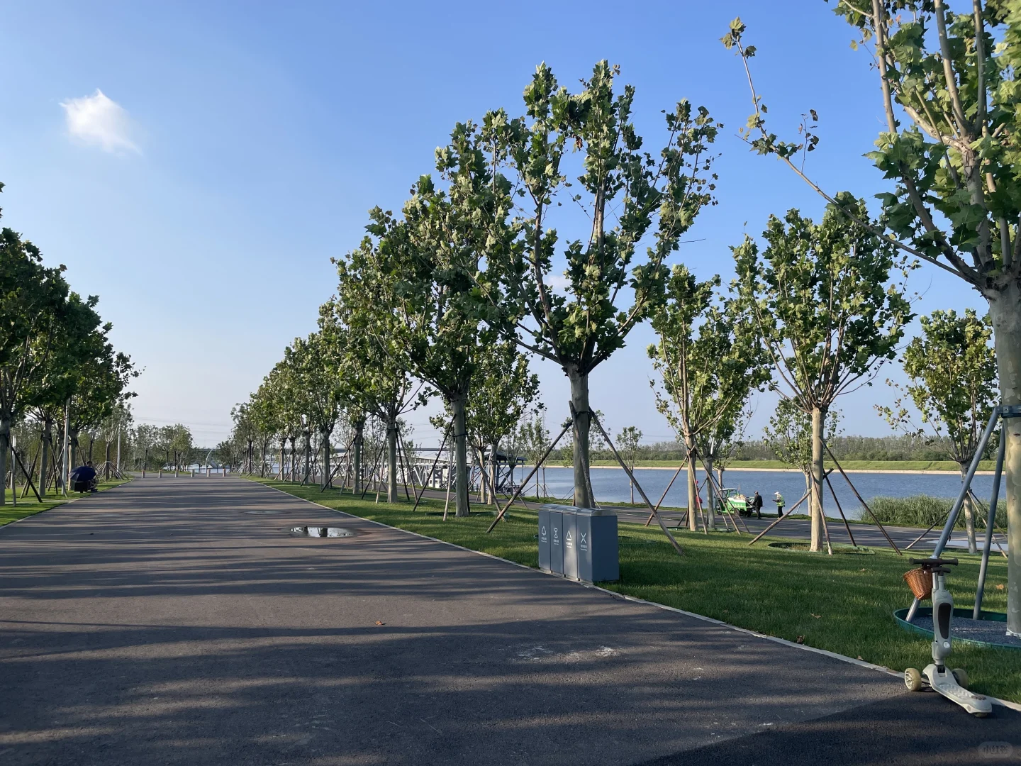 谁还不知道津南海河边美成这样！遛娃宝地！