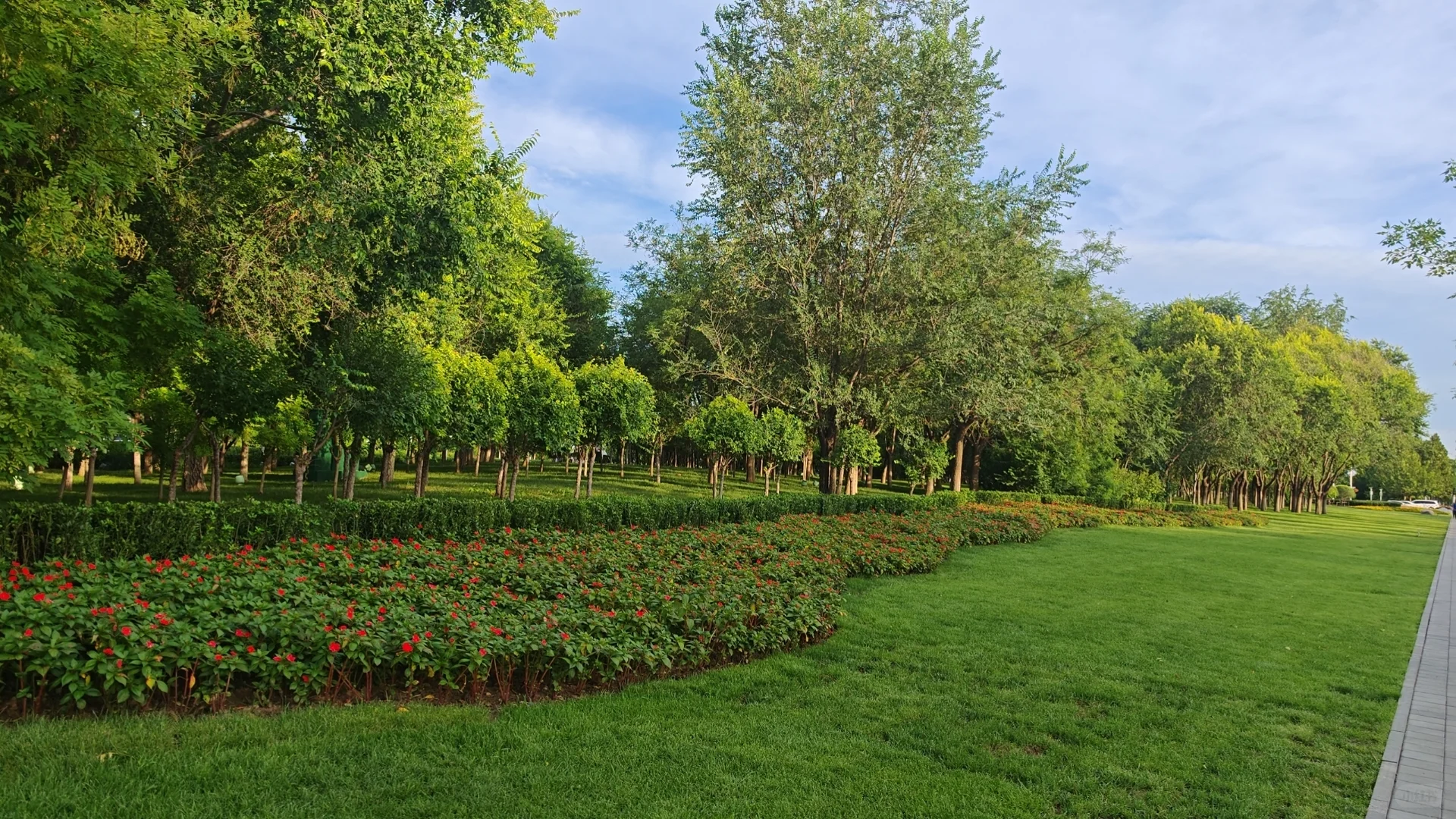 滴滴｜上合元年打卡?