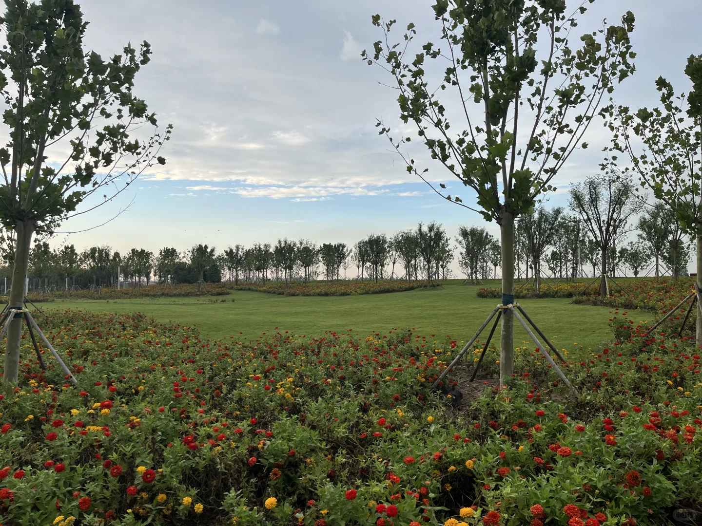 天津津南遛娃好去处，还有谁不知道？