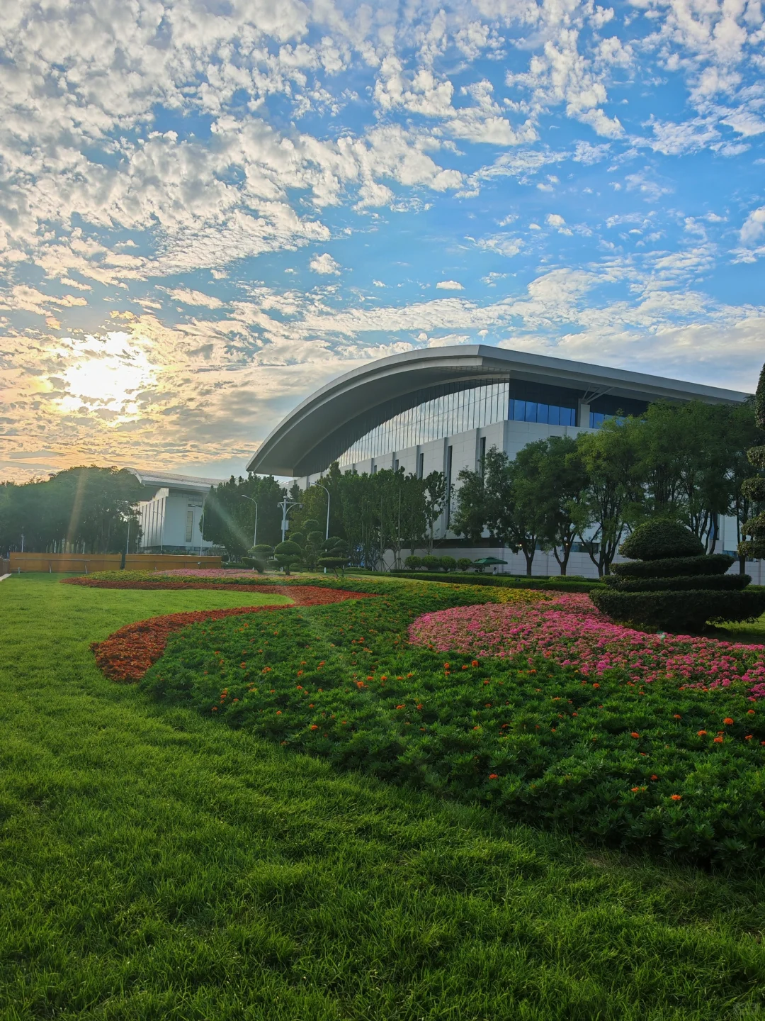 滴滴｜上合元年打卡?