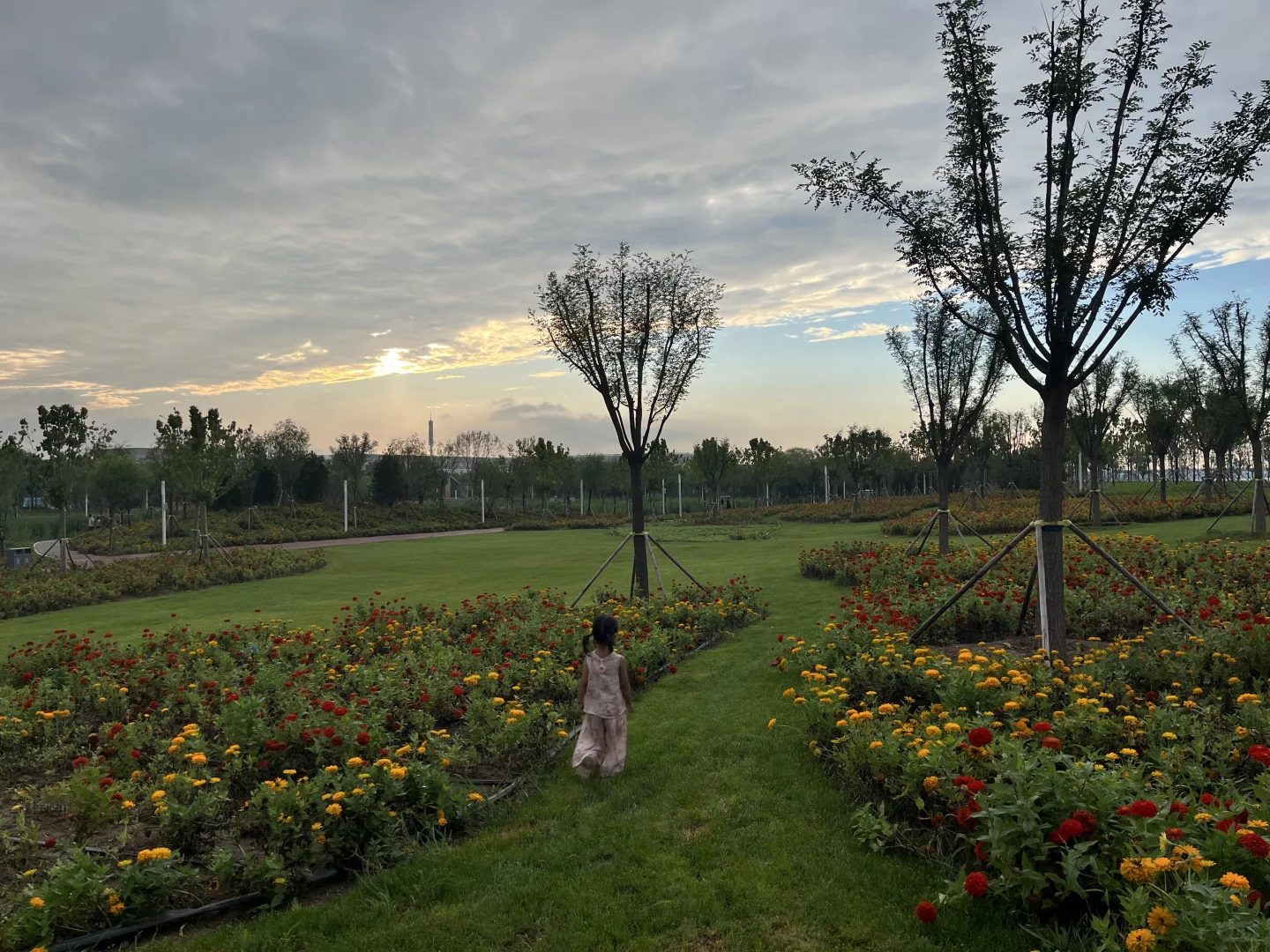 天津津南遛娃好去处，还有谁不知道？