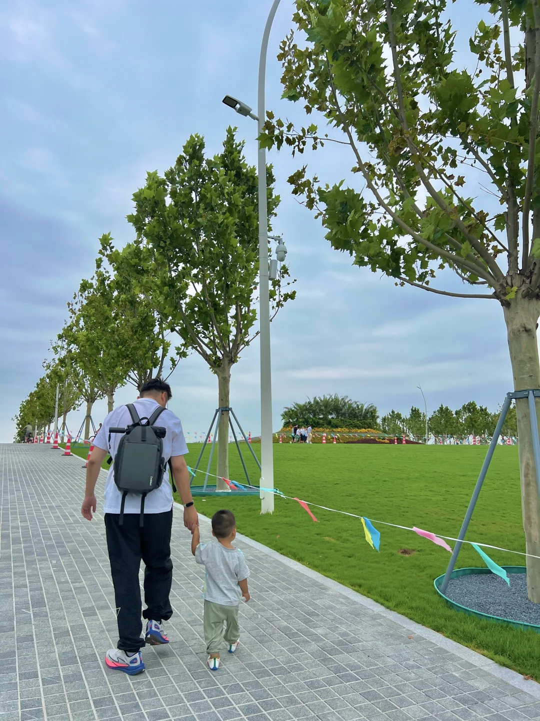 国展生态公园满眼?码头 海鸥 荷花?娃超爱