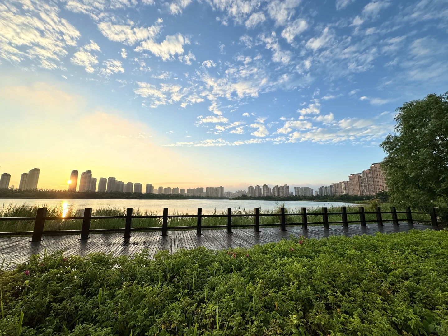 梅江公园⛲️梅江会展中心附近的宝藏公园！