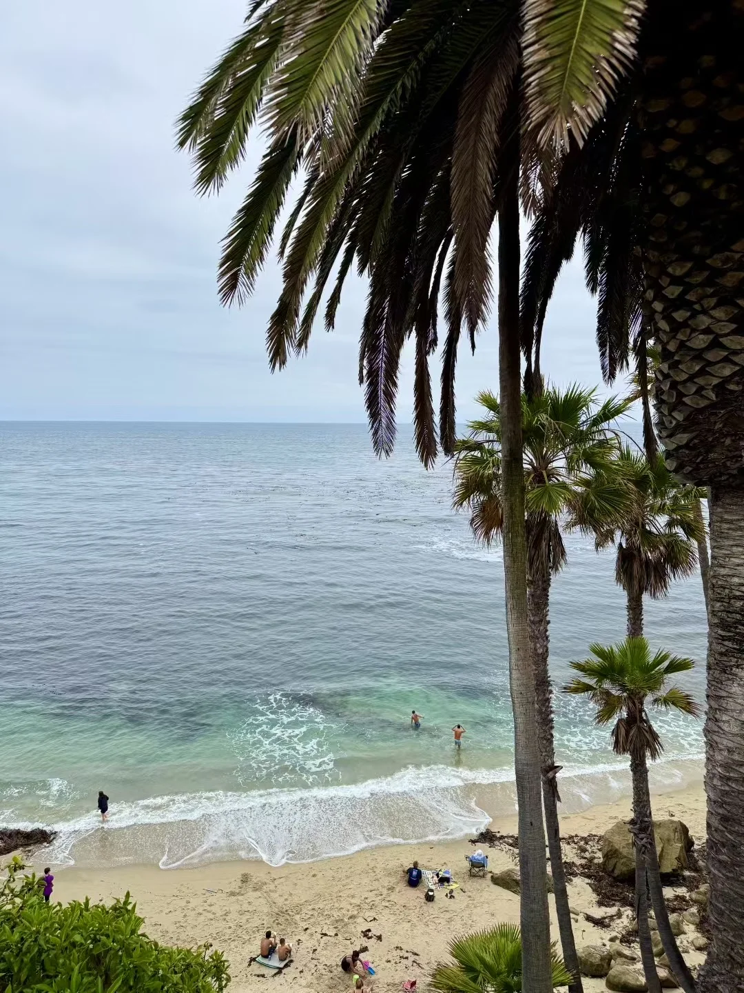 最喜欢的一个laguna beach绝美海滩~??