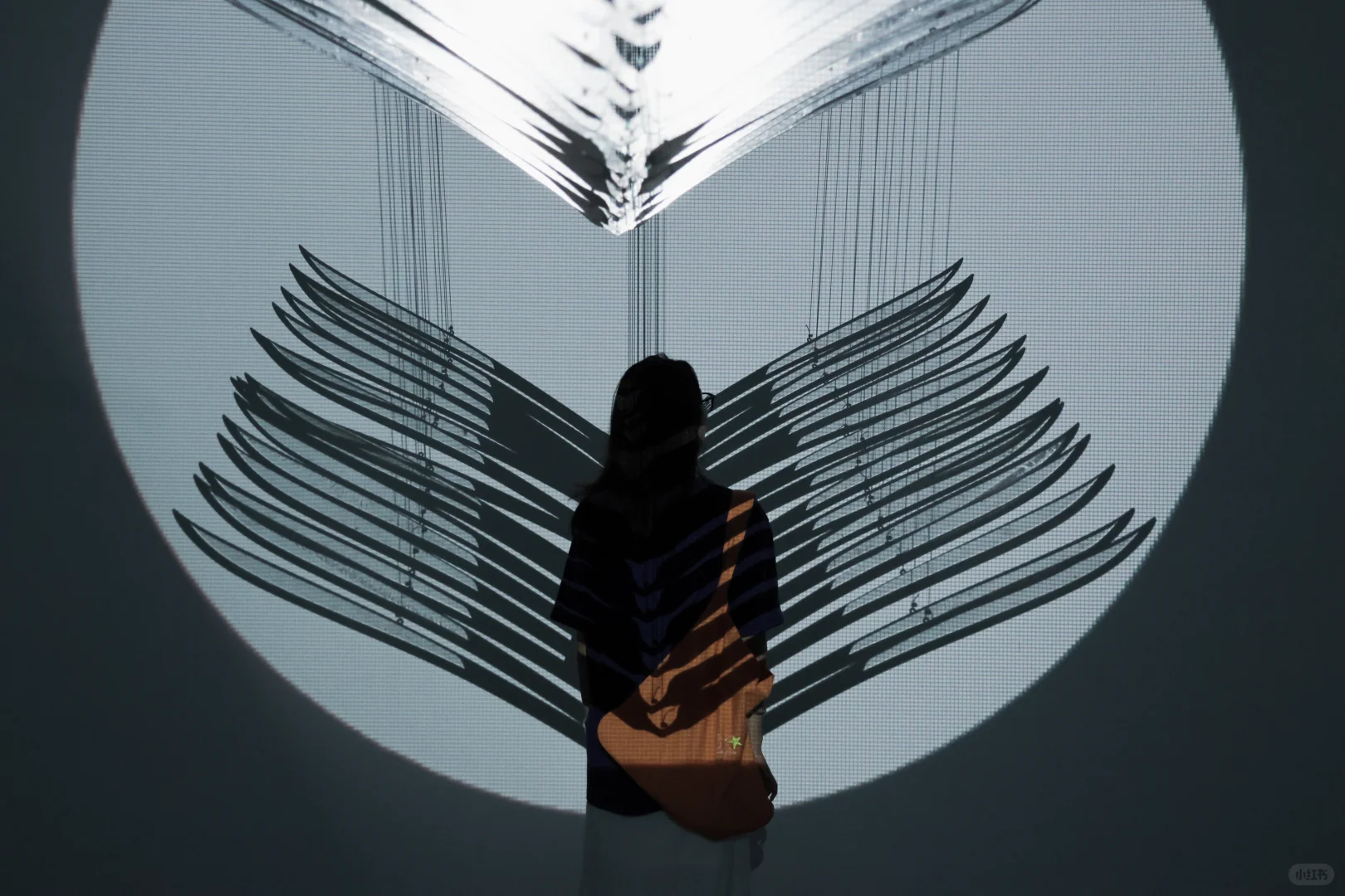 一路向西，走进重美术馆「GIF. 」场景中⚙️