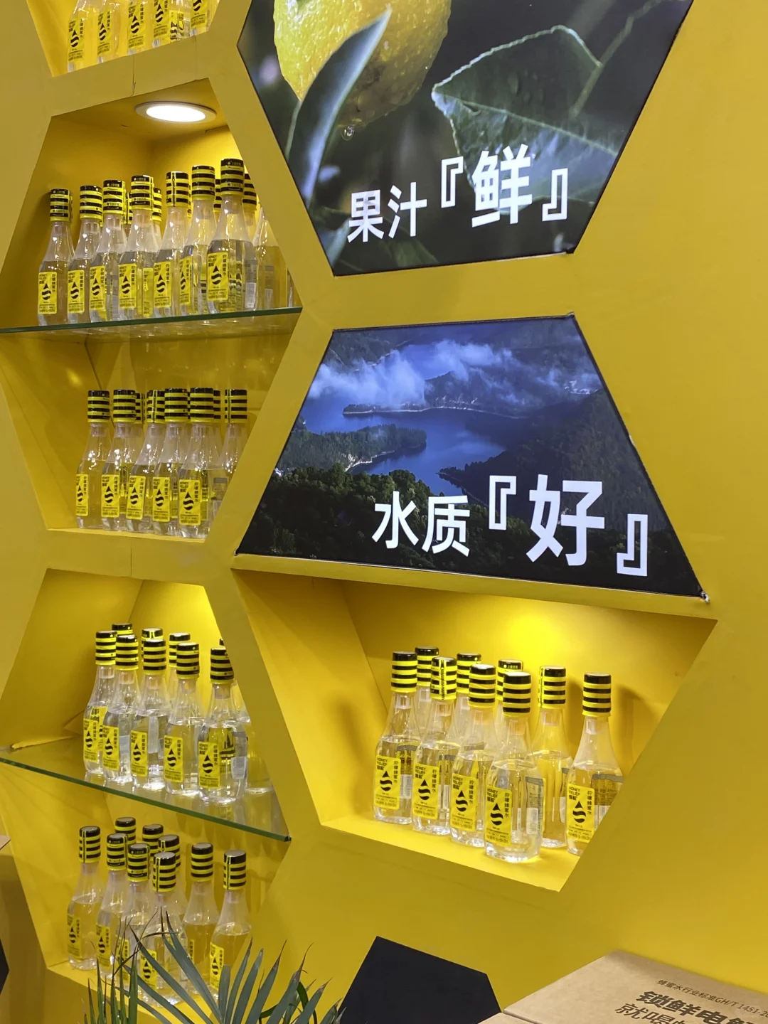 去逛展，深圳西雅食品饮料展览