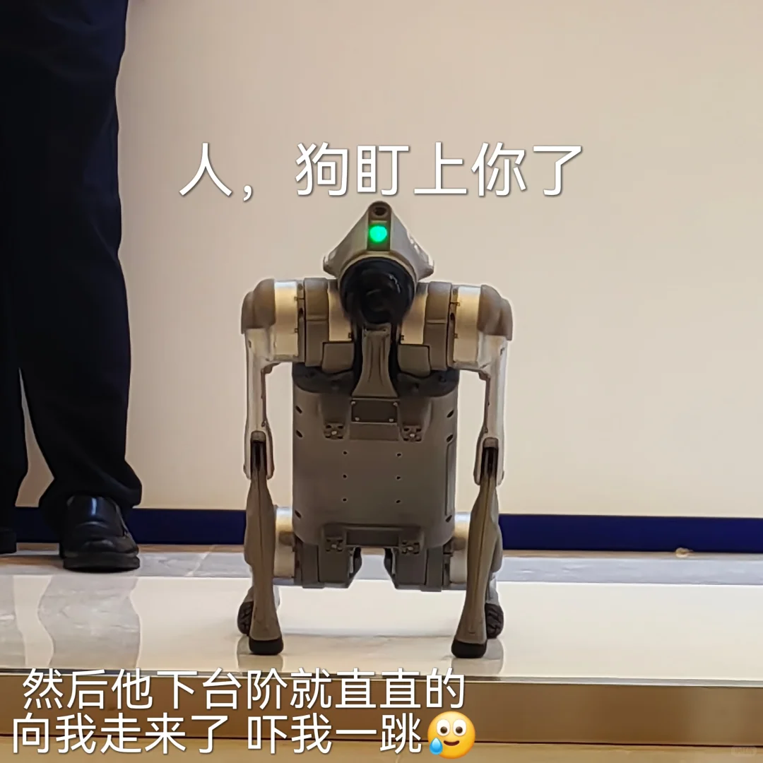 04大二｜上合前期分论坛志愿者