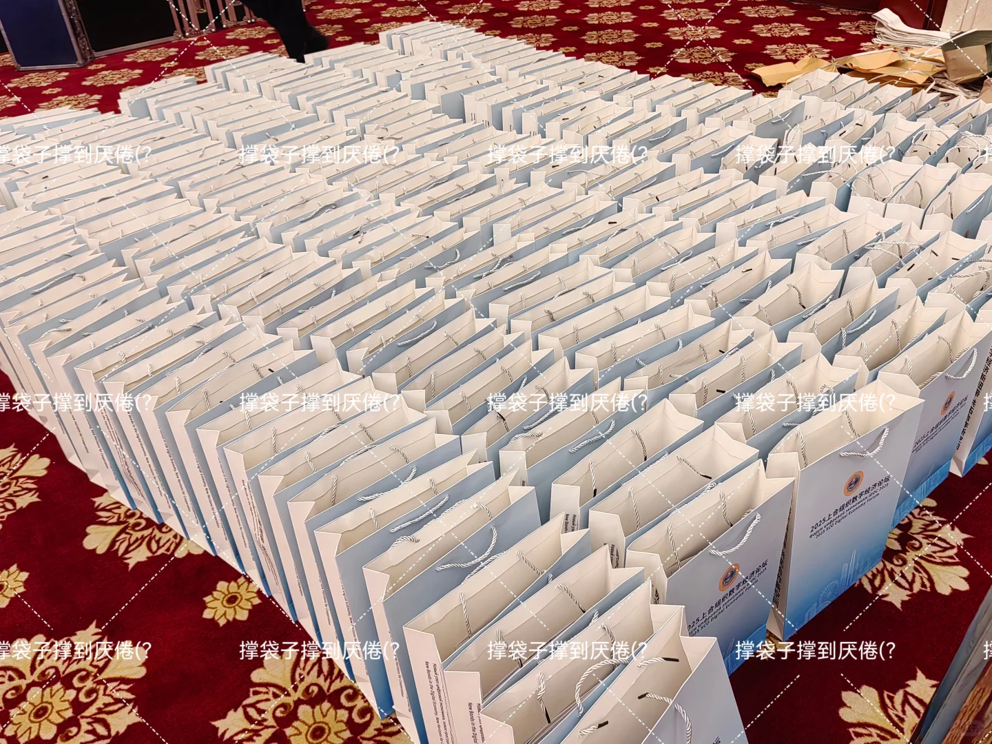 04大二｜上合前期分论坛志愿者